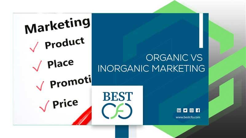 Organic vs Inorganic Marketing
