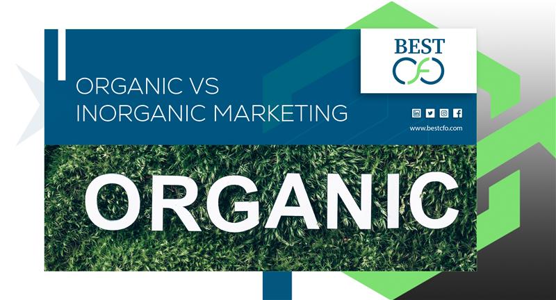 Organic vs Inorganic Marketing